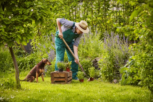 Professional landscaping in Foresthill with a natural foothill setting
