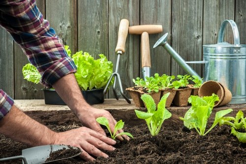 Local garden landscaping service planning a backyard layout in Foresthill