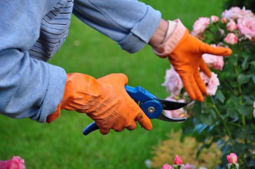 Transparent landscaping pricing and quote discussion for Foresthill homeowners