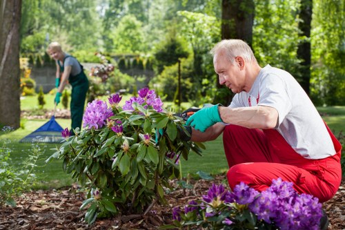 Site inspection of a garden landscaping issue during assessment