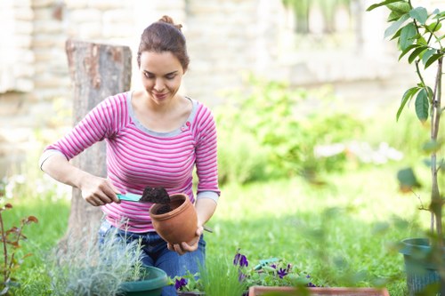 Accessibility request information for Foresthill landscaping services