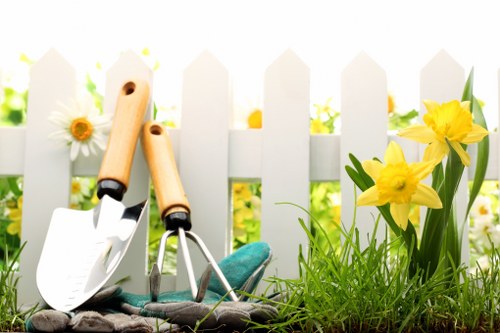 Professional ground preparation for lawn installation in Foresthill