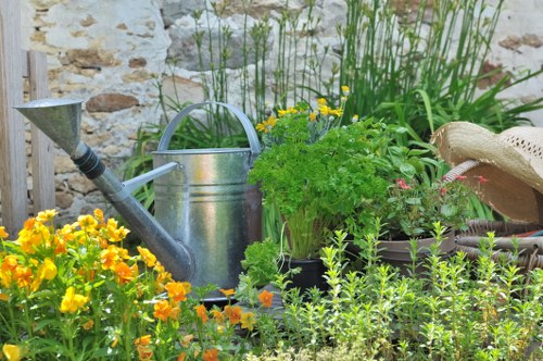 Signs of poor garden drainage in a Foresthill property