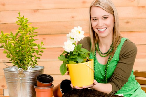 Turf selection and lawn preparation for a Foresthill property