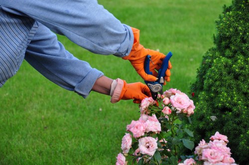 Crew member wearing PPE while carrying out landscaping work