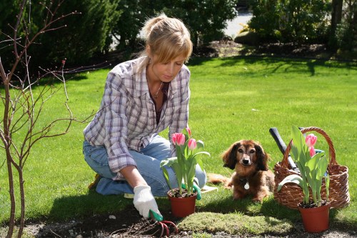 Patio, planting, and lawn improvements for garden landscaping in Foresthill